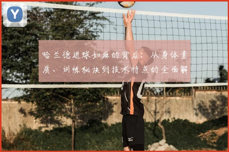 哈兰德进球如麻的背后：从身体素质、训练秘诀到技术特点的全面解析