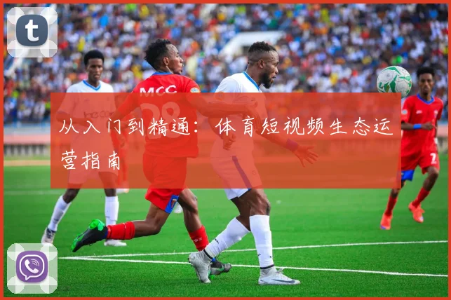 从入门到精通：体育短视频生态运营指南